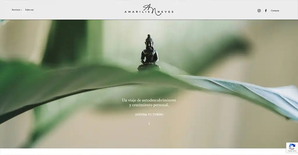 Amarilis Neves