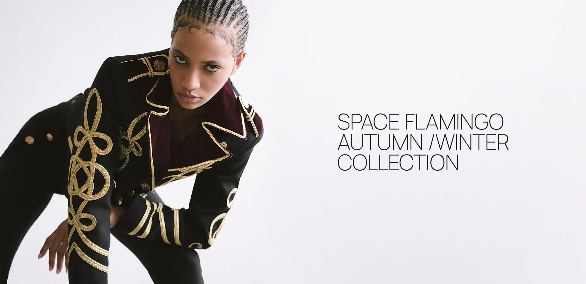 Space Flamingo