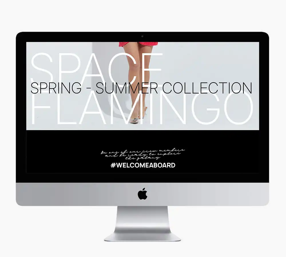 Space Flamingo